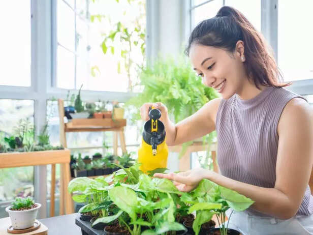 WOMAN WATERING PLANST