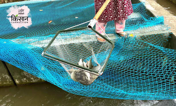 368845-trout-fish-farming-young-women-farmers-jammu-kashmir-trout-fish-farming-profitable-business-4