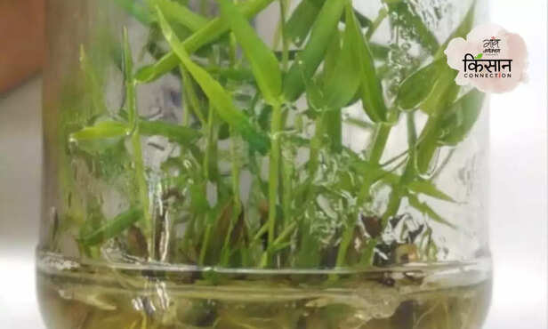 368537-hero-image-2023-10-18t122802922