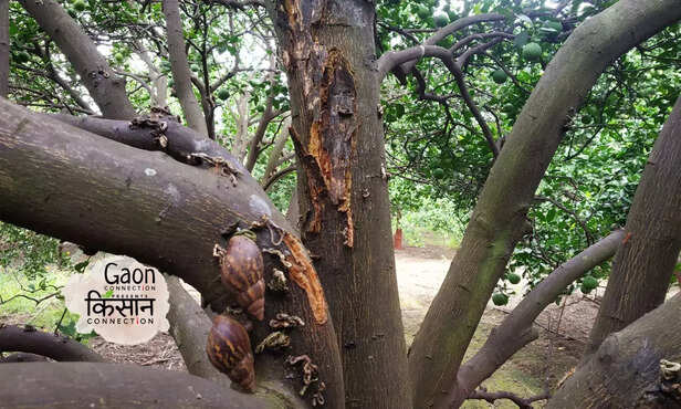 367354-untitled-design-65