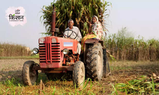 366906-hero-image-17