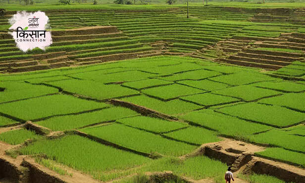 370185-ayodhya-ancient-india-treta-yuga-farming-practices-shri-ram-janakpuri-1