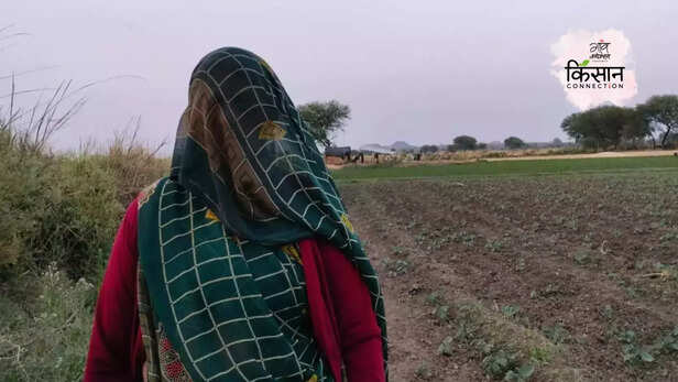 366655-women-farmers-uttar-pradesh-heatwave-health-climate-change-women-farm-labourers-livelihood-4