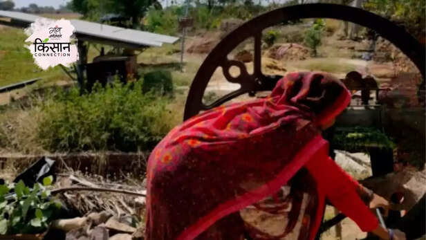 366656-women-farmers-uttar-pradesh-heatwave-health-climate-change-women-farm-labourers-livelihood-3