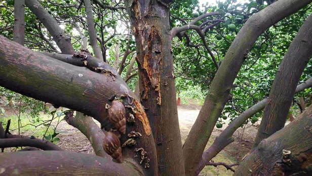 367390-img20230821155216-scaled