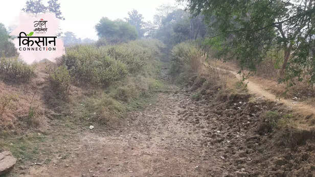 363684-gaon-moment-2023-02-18t182830578