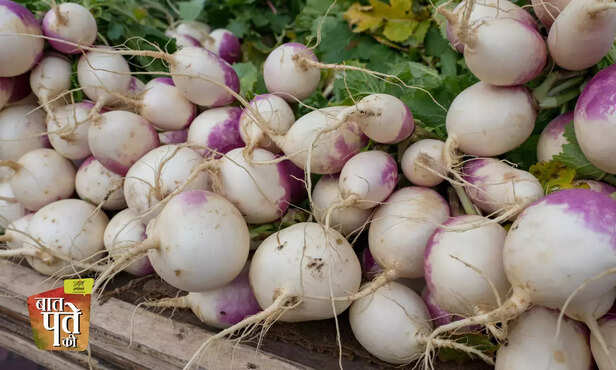 368804-turnip-health-benefits-diabetes-patients-turnip-farming-3