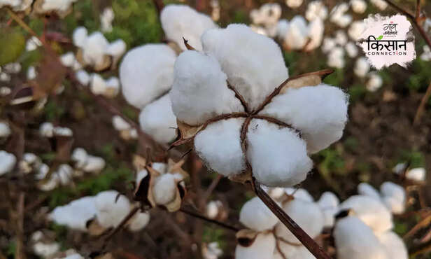 368031-hero-image-47