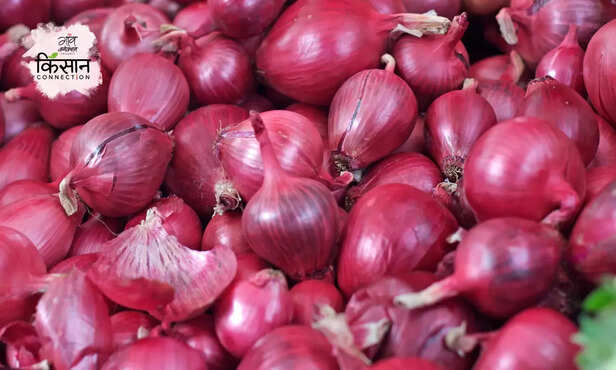 369750-hero-image-32