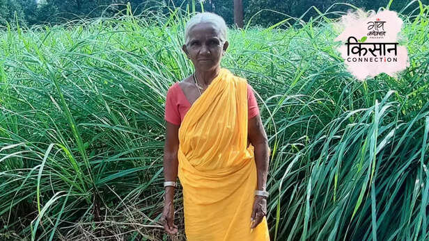 364205-aroma-mission-csir-cimap-farmer-income-double-aromatic-plants-farming-processing-1