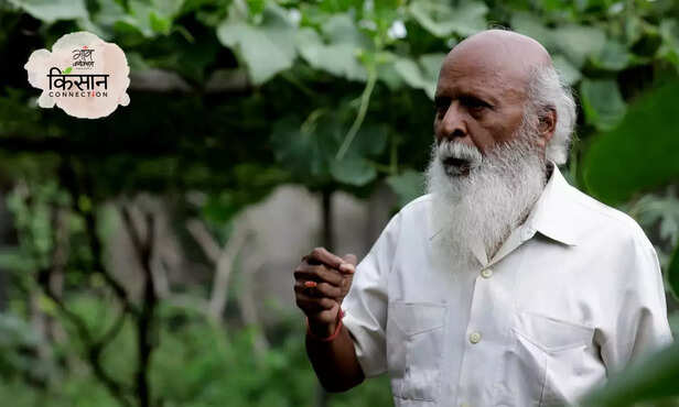 368605-narendra-shivani-bottle-gourd-narendra-dev-agriculture-university-shivpujan-singh-2