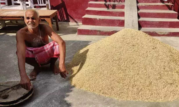 368930-farmer-zzcleanup