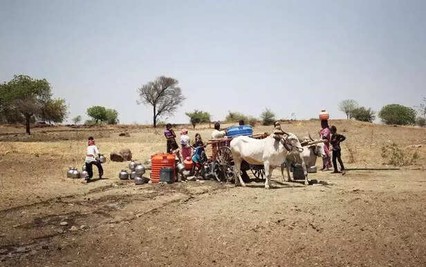 368862-seeds-drought