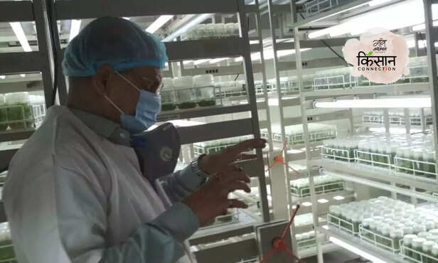 368538-hero-image-2023-10-17t132551032