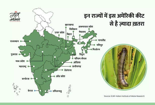 366337-fall-armyworm-maize-crop-hamirpur-himachal-pradesh-advisory-fao-spodoptera-frugiperda-2-scaled
