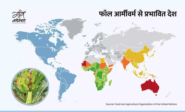 366340-fall-armyworm-maize-crop-hamirpur-himachal-pradesh-advisory-fao-spodoptera-frugiperda-1-scaled
